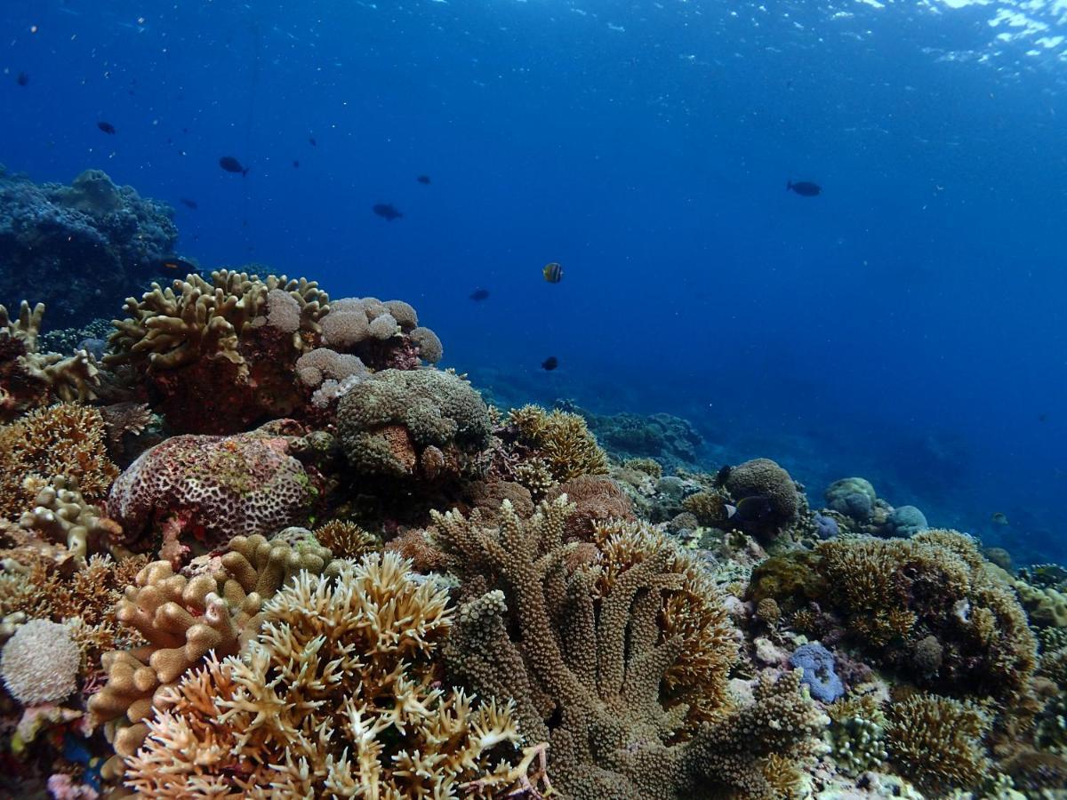 Appartamento Pandan Wangi Lembongan Esterno foto